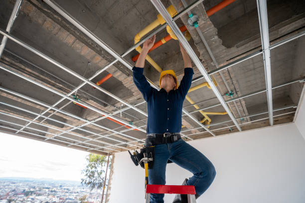 Best Plumbing Services Near Me  in New Berlin, IL