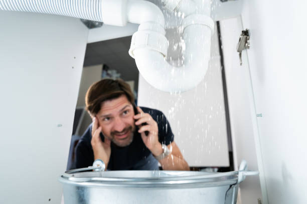 Best Sprinkler Systems  in New Berlin, IL